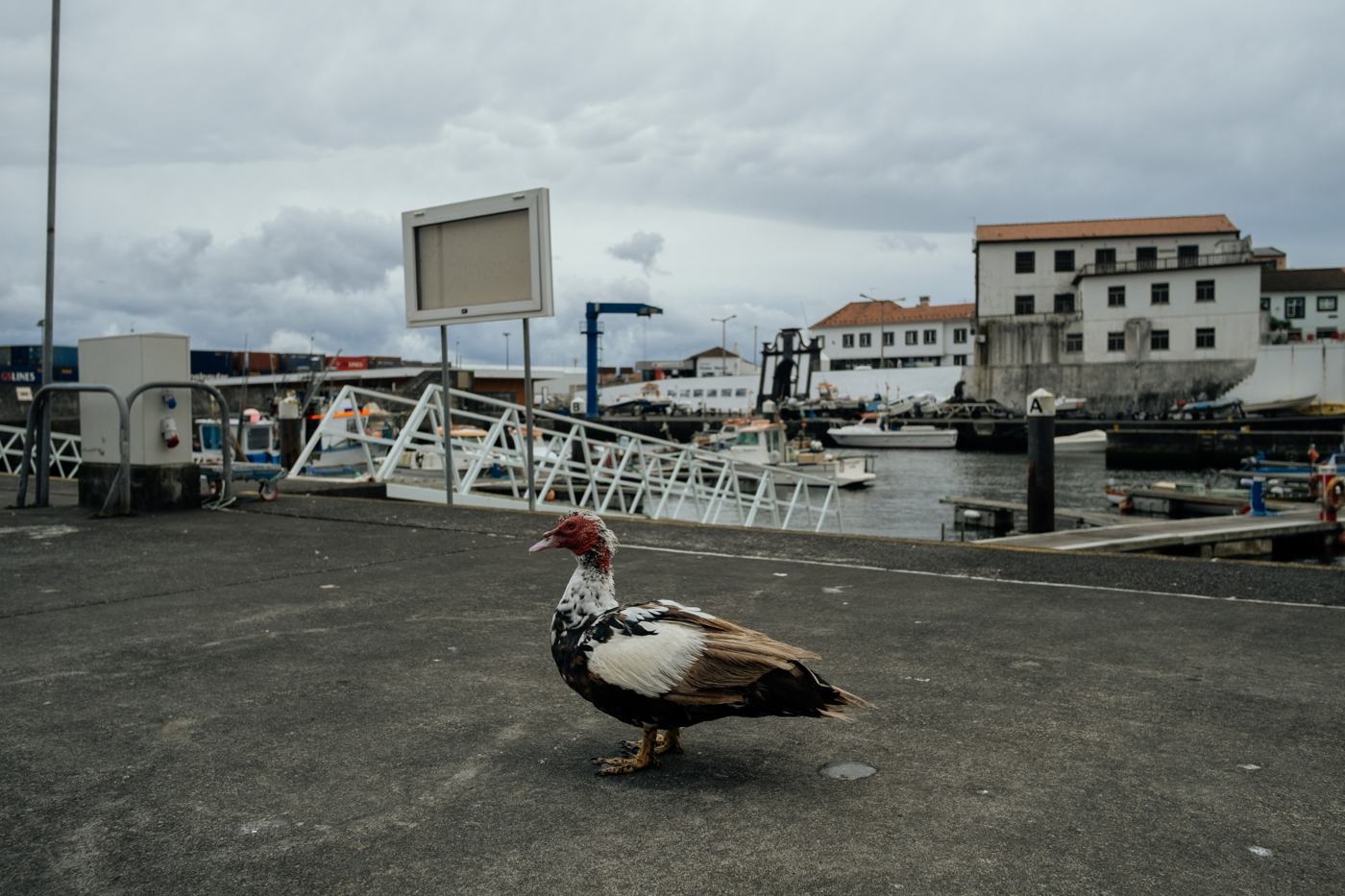 I’ve traveled the world not to find you, frame 37 of 37